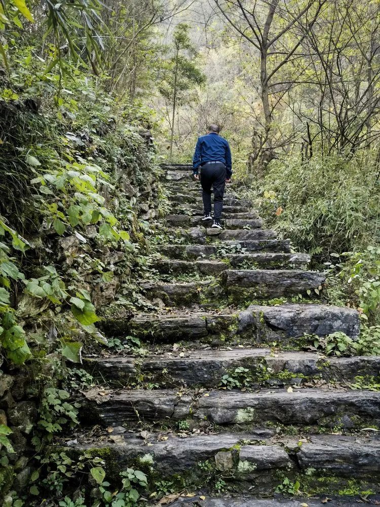 读城 | 何依:大山深处有人家——南漳冯家湾 读城 | 何依:大山深处有人家——南漳冯家湾