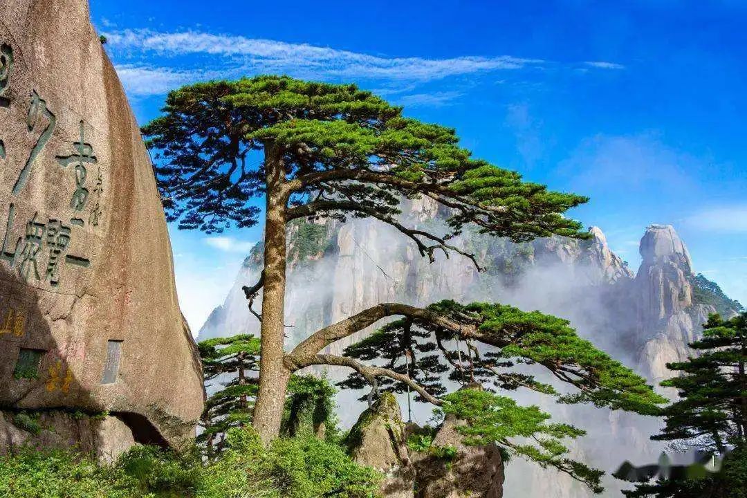 马牧青：景区提升永无止境（全文）