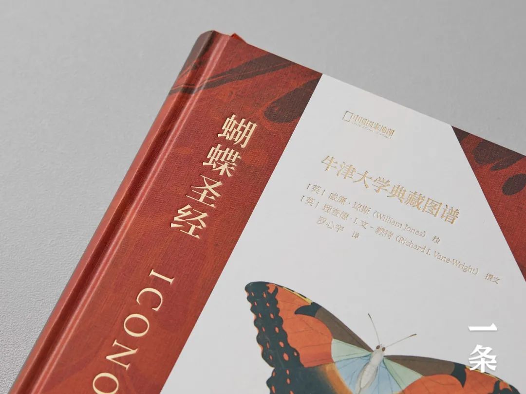 牛津自然史博物馆镇馆之宝，1600幅稀有手稿，收录全球绝美蝴蝶