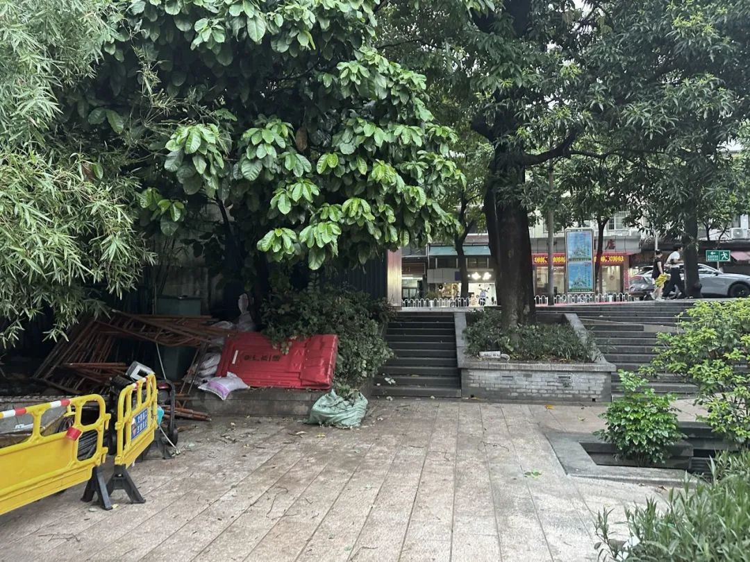 五“月”十二桥,再“叹”荔枝湾|广州味•规划思 五“月”十二桥,再“叹”荔枝湾|广州味•规划思