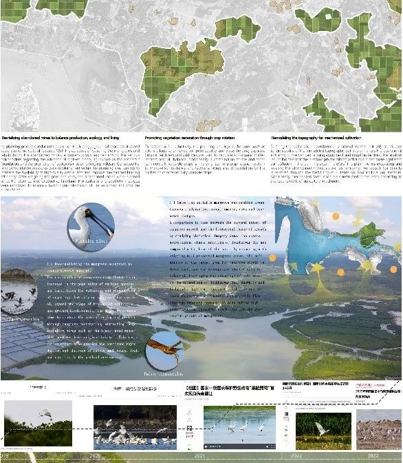 2023年IFLA APR国际大奖揭晓,清华同衡再获21项殊荣! 2023年IFLA APR国际大奖揭晓,清华同衡再获21项殊荣!