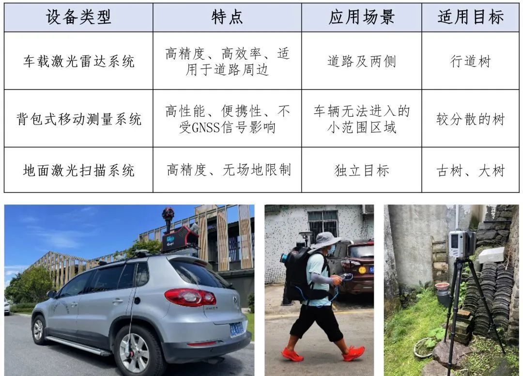 建设越秀树木资源档案,绘制绿美广州生态画卷 建设越秀树木资源档案,绘制绿美广州生态画卷