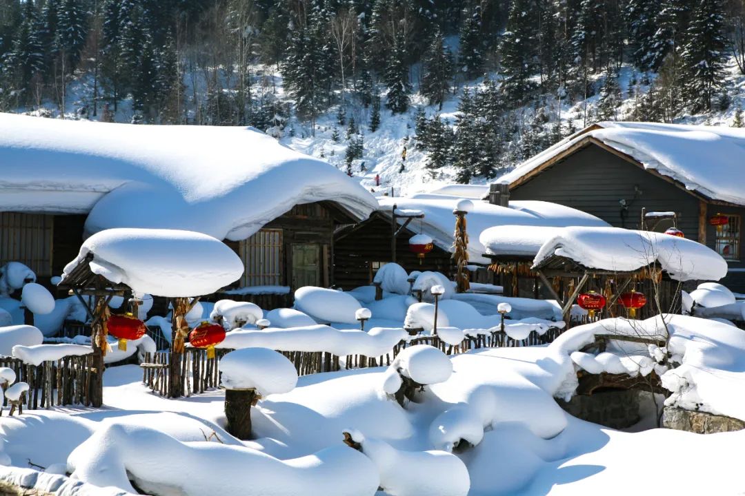 瑞雪瞰龙江