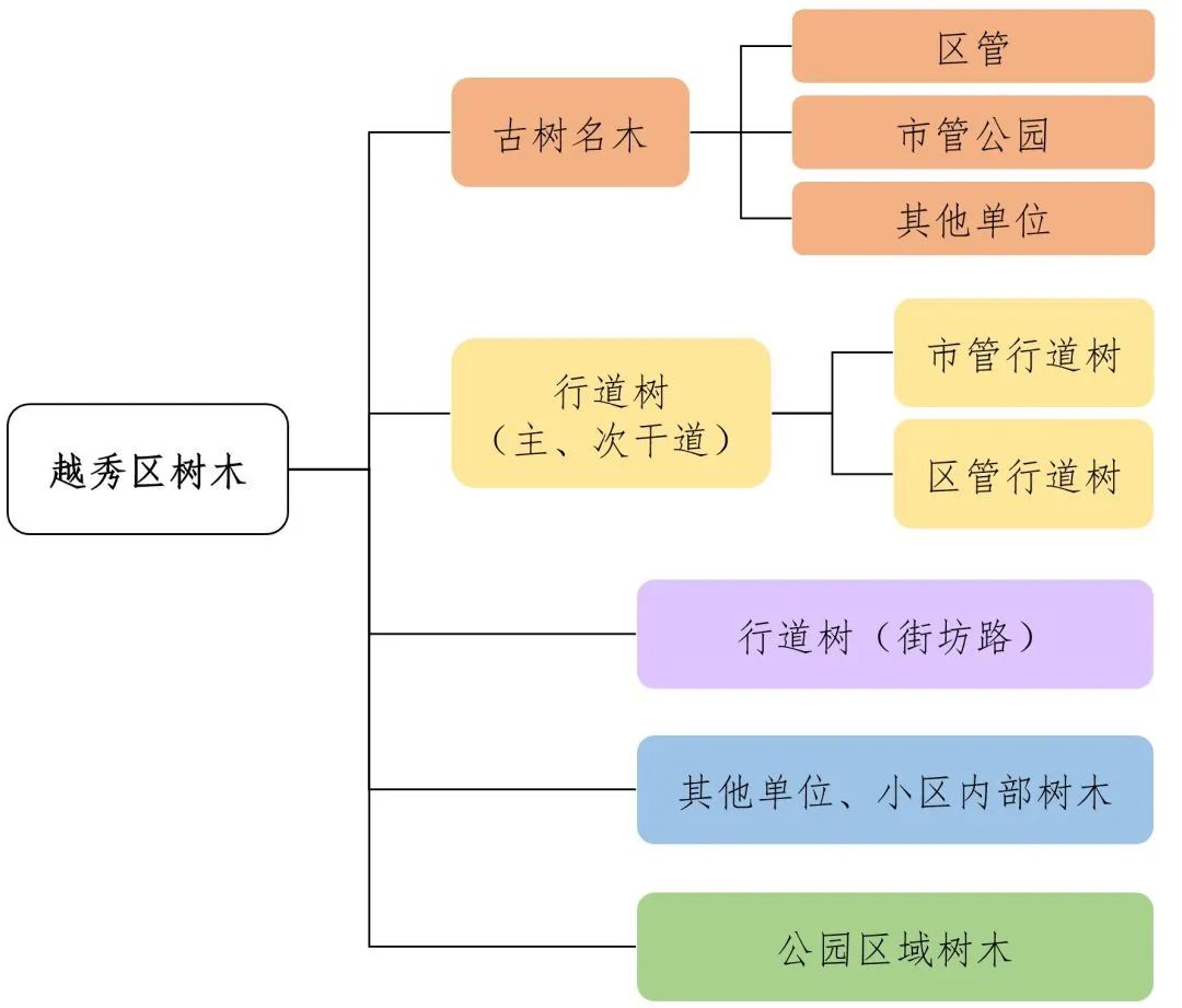 建设越秀树木资源档案,绘制绿美广州生态画卷 建设越秀树木资源档案,绘制绿美广州生态画卷