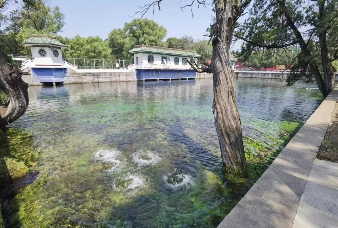 清华同衡助力霍泉灌溉工程遗产申遗成功 清华同衡助力霍泉灌溉工程遗产申遗成功