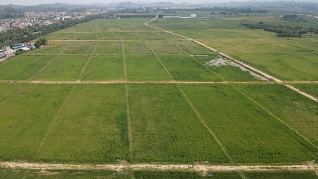 以全域土地综合整治推进高质量发展的广东实践与思考