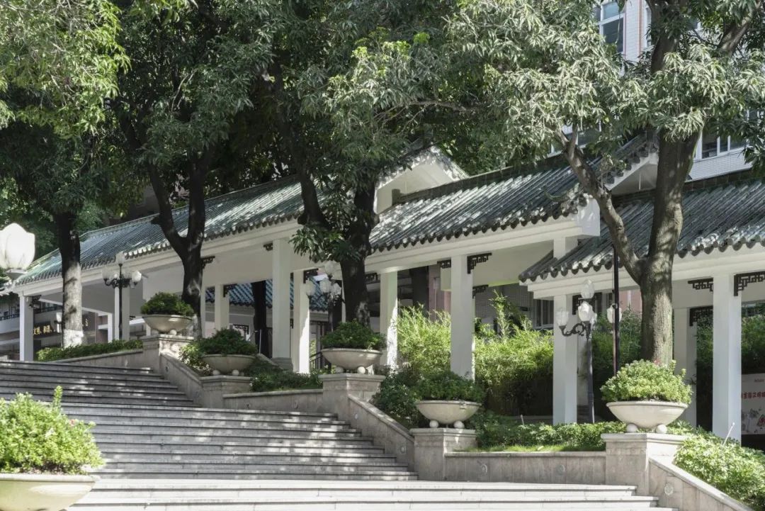 老树发新芽,老校焕新颜,协和中学校园功能微改造工程项目 | 作品 老树发新芽,老校焕新颜,协和中学校园功能微改造工程项目 | 作品