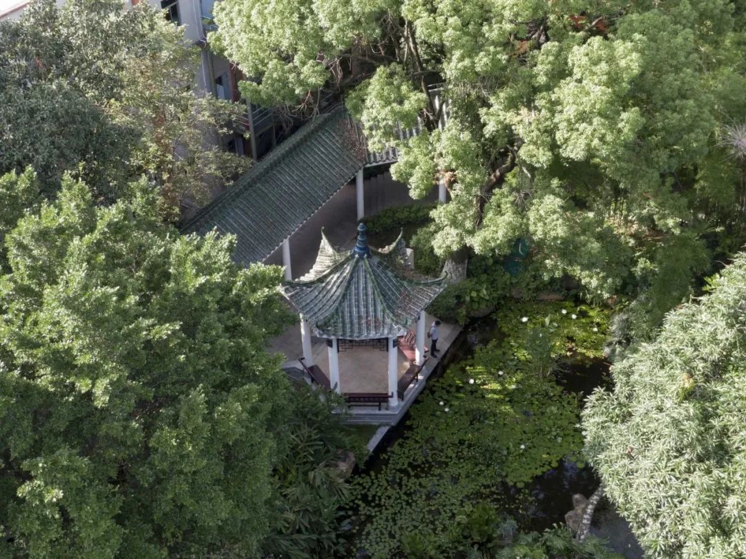 老树发新芽,老校焕新颜,协和中学校园功能微改造工程项目 | 作品 老树发新芽,老校焕新颜,协和中学校园功能微改造工程项目 | 作品