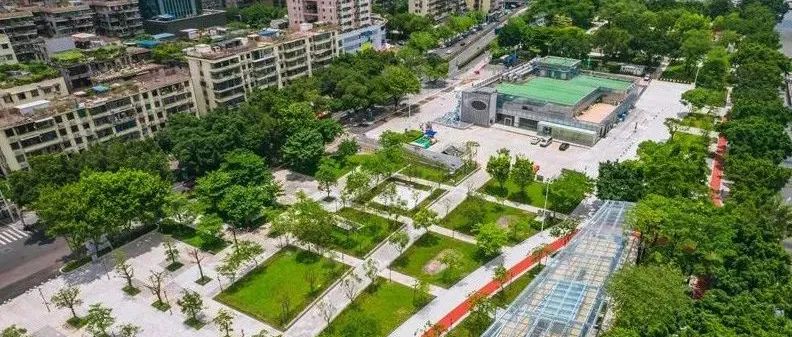 五“月”十二桥,再“叹”荔枝湾|广州味•规划思 五“月”十二桥,再“叹”荔枝湾|广州味•规划思