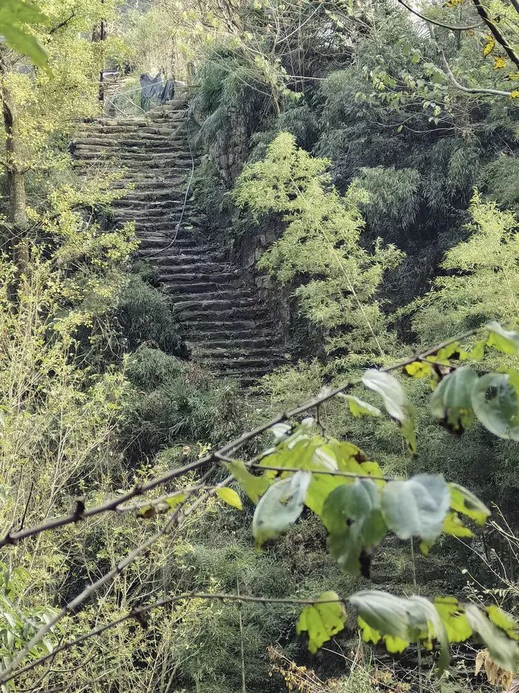 读城 | 何依:大山深处有人家——南漳冯家湾 读城 | 何依:大山深处有人家——南漳冯家湾