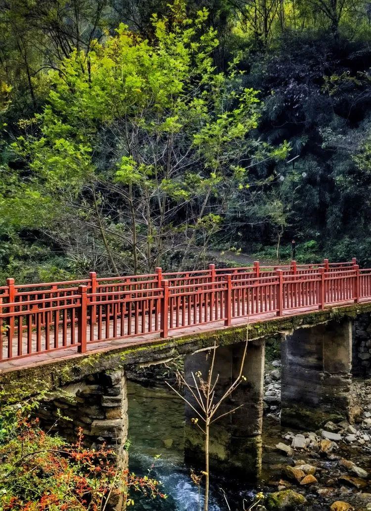 读城 | 何依:大山深处有人家——南漳冯家湾 读城 | 何依:大山深处有人家——南漳冯家湾