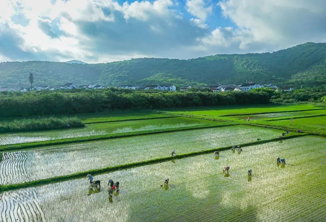 以绿生金,生态敏感地区的绿色发展路径——苏州太湖生态岛生态产品价值实现的创新实践 以绿生金,生态敏感地区的绿色发展路径——苏州太湖生态岛生态产品价值实现的创新实践
