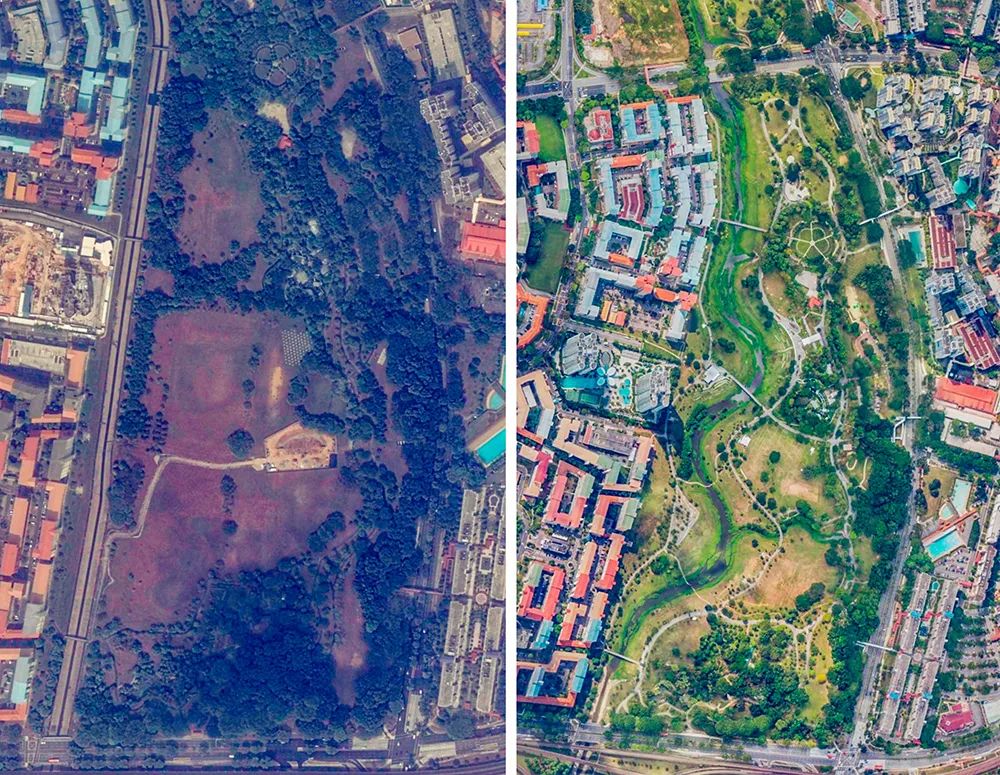 城市「生物多样性」的建设与经营 城市「生物多样性」的建设与经营