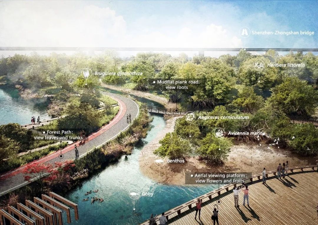 2023年IFLA APR国际大奖揭晓,清华同衡再获21项殊荣! 2023年IFLA APR国际大奖揭晓,清华同衡再获21项殊荣!