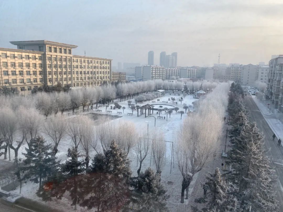 瑞雪瞰龙江
