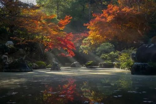 马牧青：景区提升永无止境（全文）