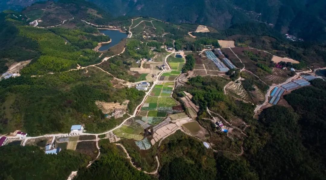 乡村振兴:困境与出路 乡村振兴:困境与出路