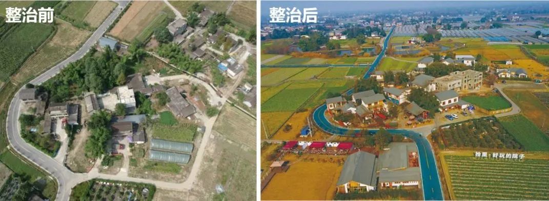 “共享庭院”助力乡村出圈——成都汪家村拾里庭院的乡村实践经验 “共享庭院”助力乡村出圈——成都汪家村拾里庭院的乡村实践经验