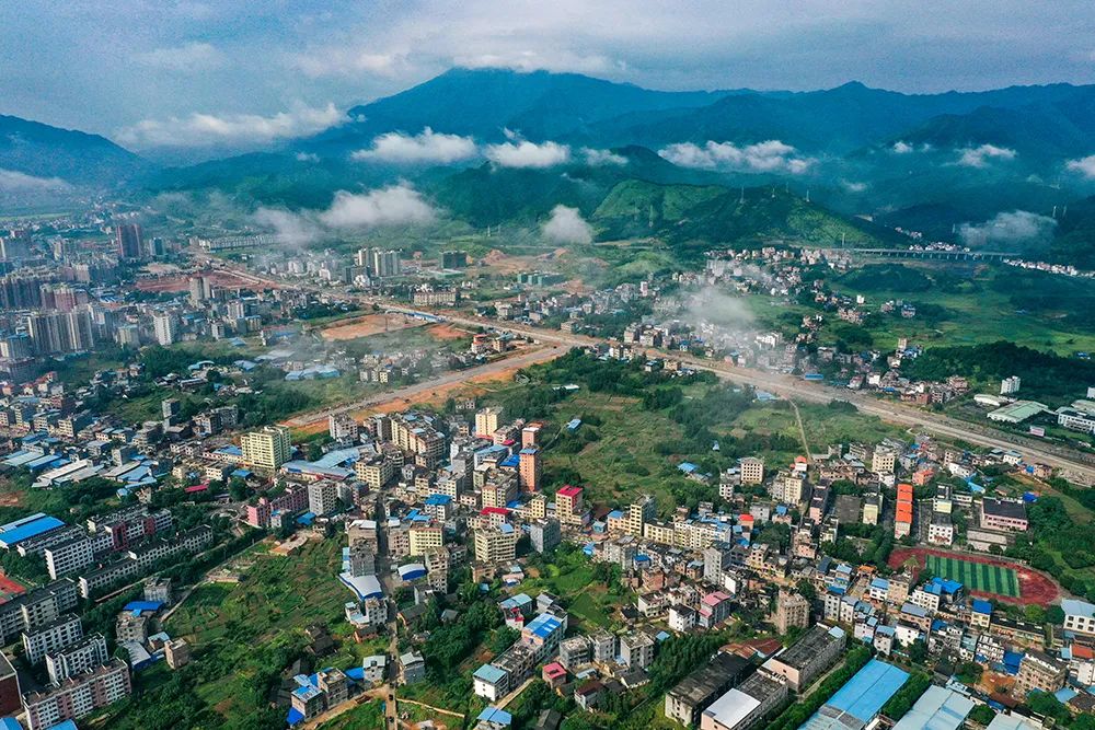 城市「生物多样性」的建设与经营 城市「生物多样性」的建设与经营