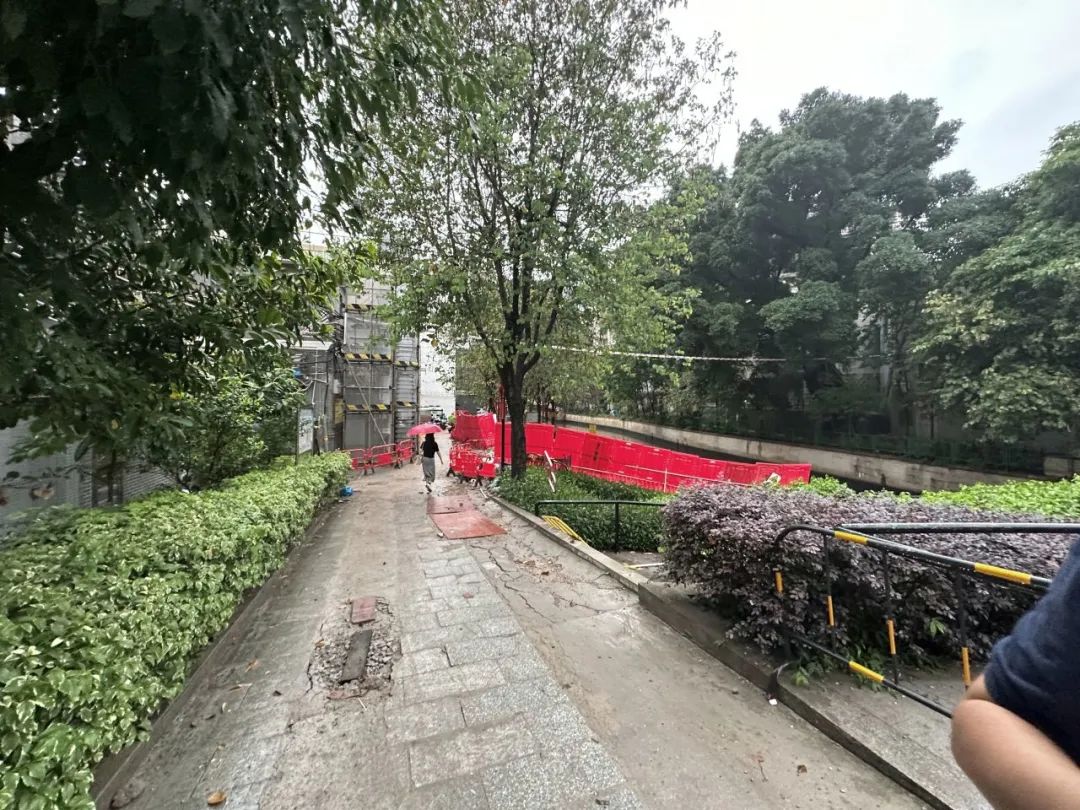 五“月”十二桥,再“叹”荔枝湾|广州味•规划思 五“月”十二桥,再“叹”荔枝湾|广州味•规划思