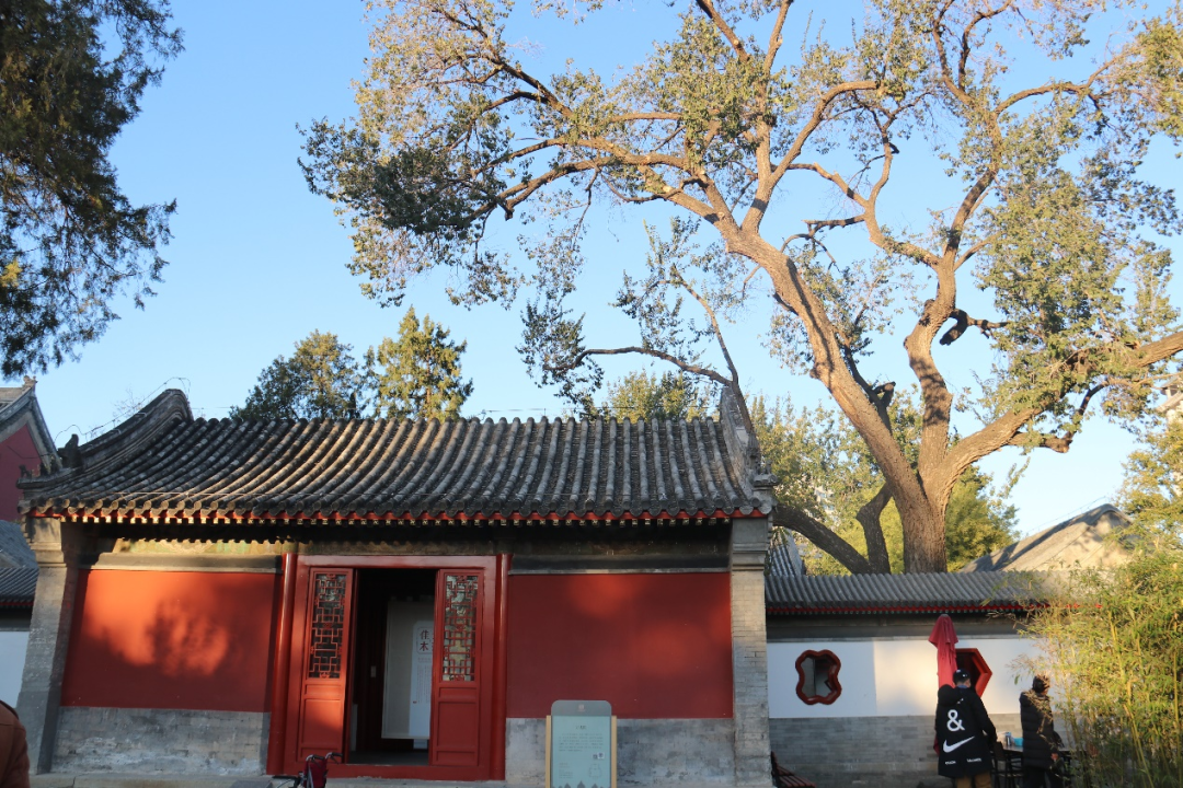 文化探访路丨古迹撷英——寻访万寿寺的前世今生 文化探访路丨古迹撷英——寻访万寿寺的前世今生