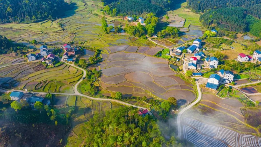 以全域土地综合整治推进高质量发展的广东实践与思考