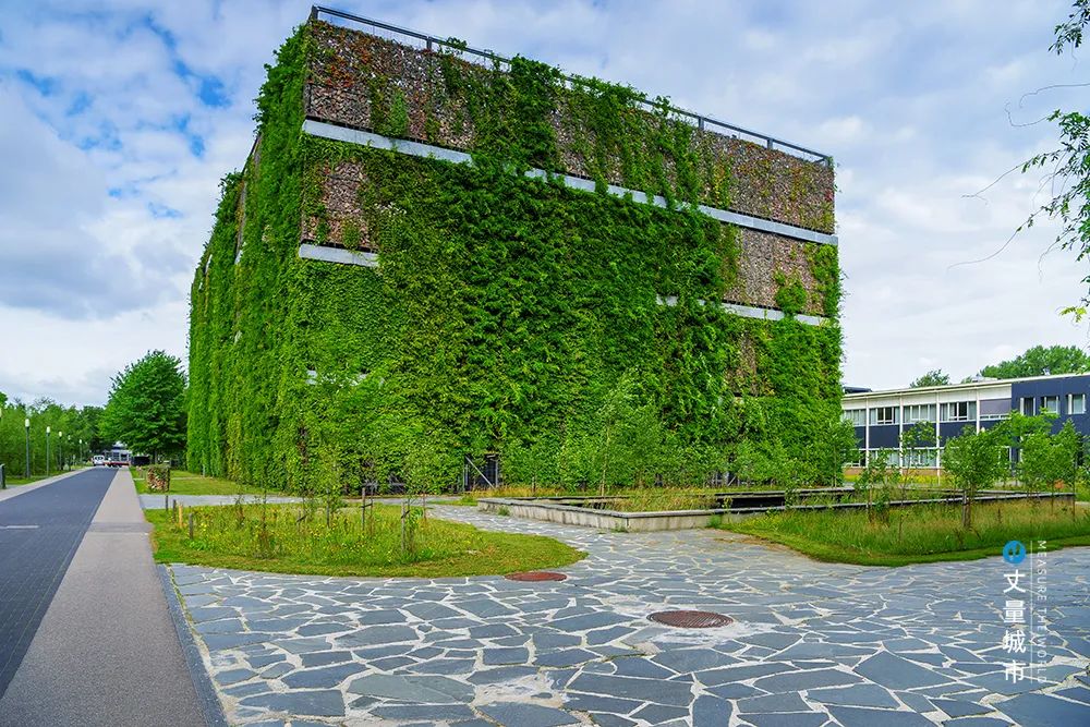 城市「生物多样性」的建设与经营 城市「生物多样性」的建设与经营