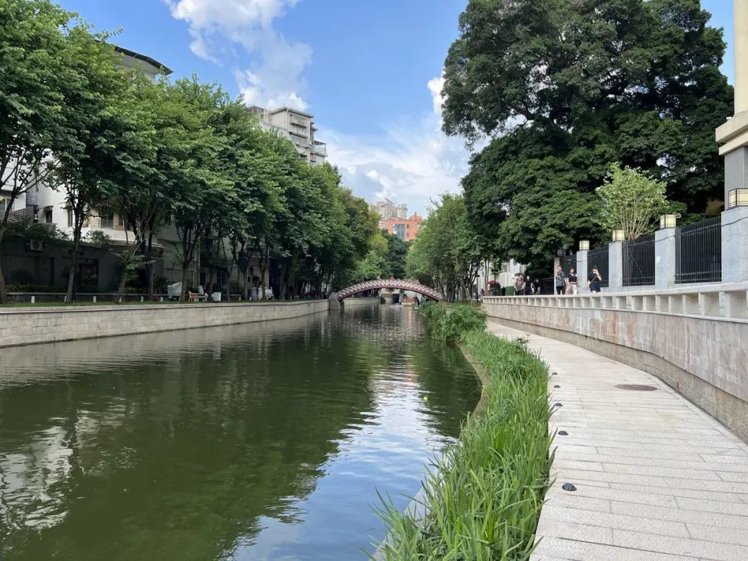 五“月”十二桥,再“叹”荔枝湾|广州味•规划思 五“月”十二桥,再“叹”荔枝湾|广州味•规划思