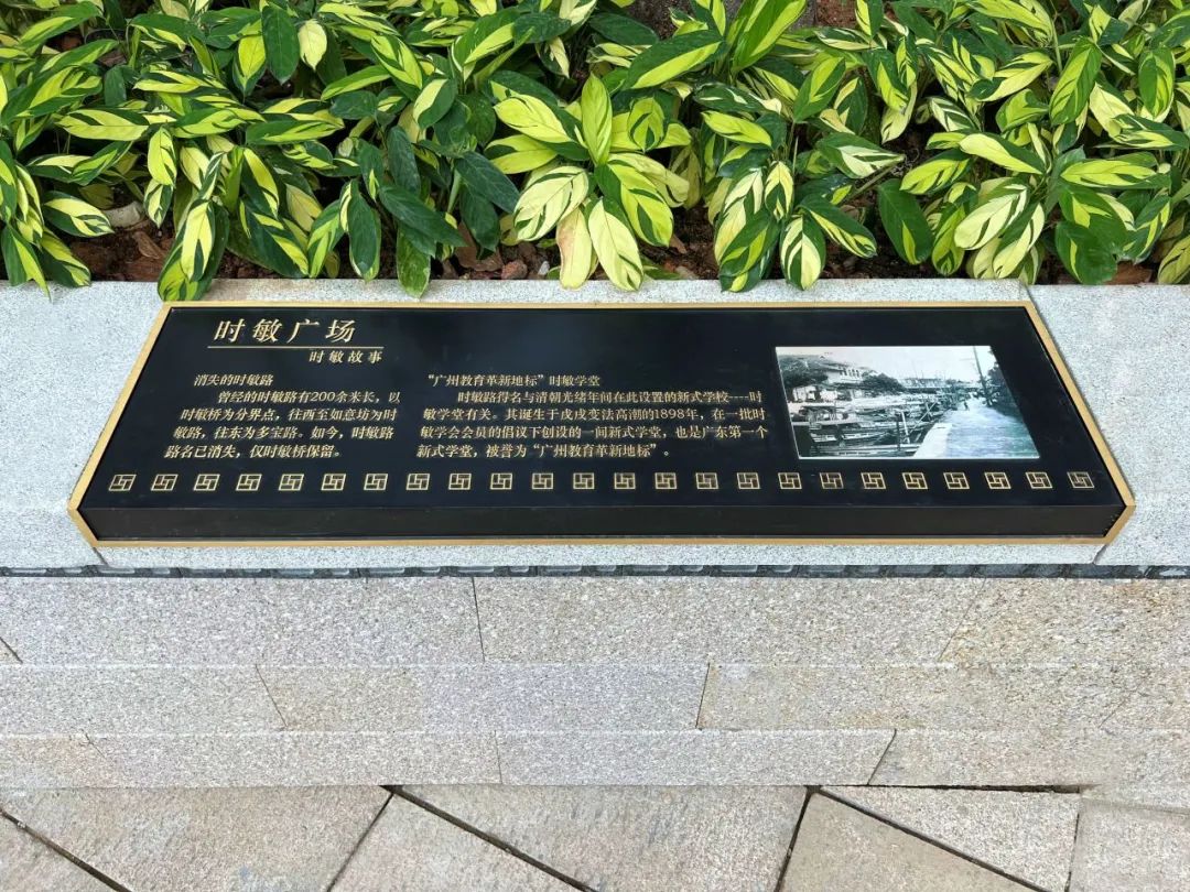 五“月”十二桥,再“叹”荔枝湾|广州味•规划思 五“月”十二桥,再“叹”荔枝湾|广州味•规划思