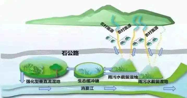 以绿生金,生态敏感地区的绿色发展路径——苏州太湖生态岛生态产品价值实现的创新实践 以绿生金,生态敏感地区的绿色发展路径——苏州太湖生态岛生态产品价值实现的创新实践