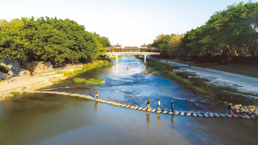 从蓝图到实景:深圳市公园城市规划与建设实践 从蓝图到实景:深圳市公园城市规划与建设实践