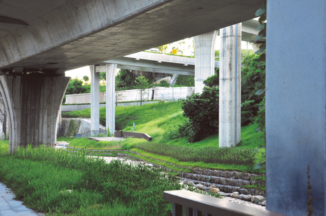 从蓝图到实景:深圳市公园城市规划与建设实践 从蓝图到实景:深圳市公园城市规划与建设实践