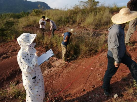 国土空间生态修复典型案例丨广东粤北南岭山区山水林田湖草生态保护修复工程——南雄市红砂岭综合治理项目