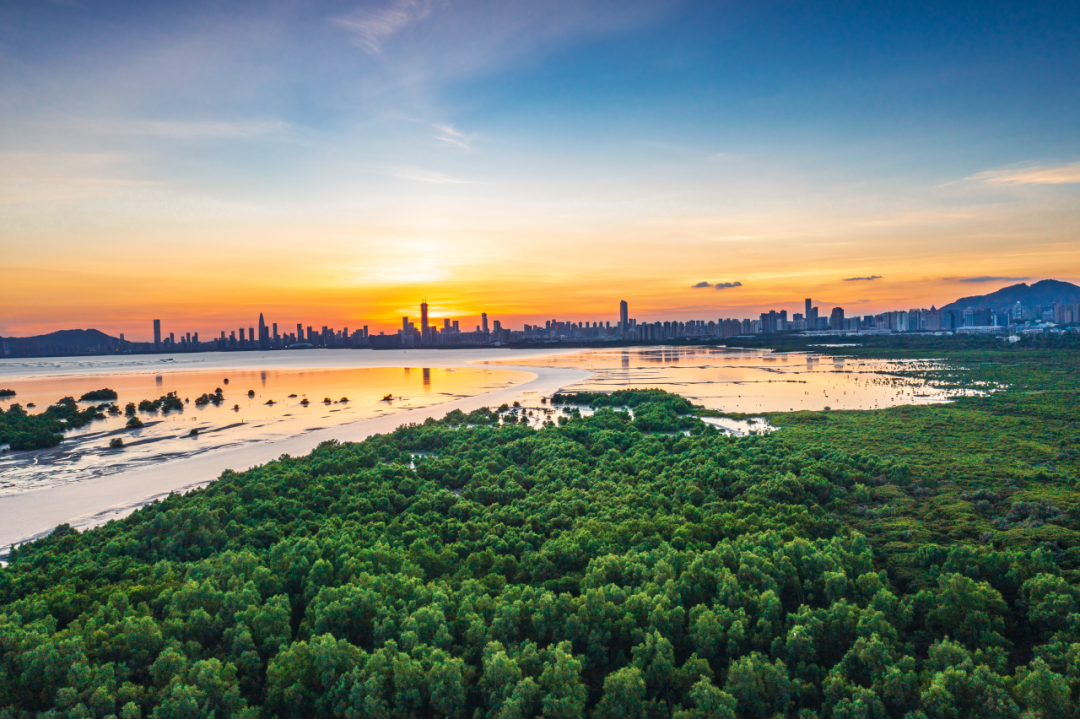 从蓝图到实景:深圳市公园城市规划与建设实践 从蓝图到实景:深圳市公园城市规划与建设实践