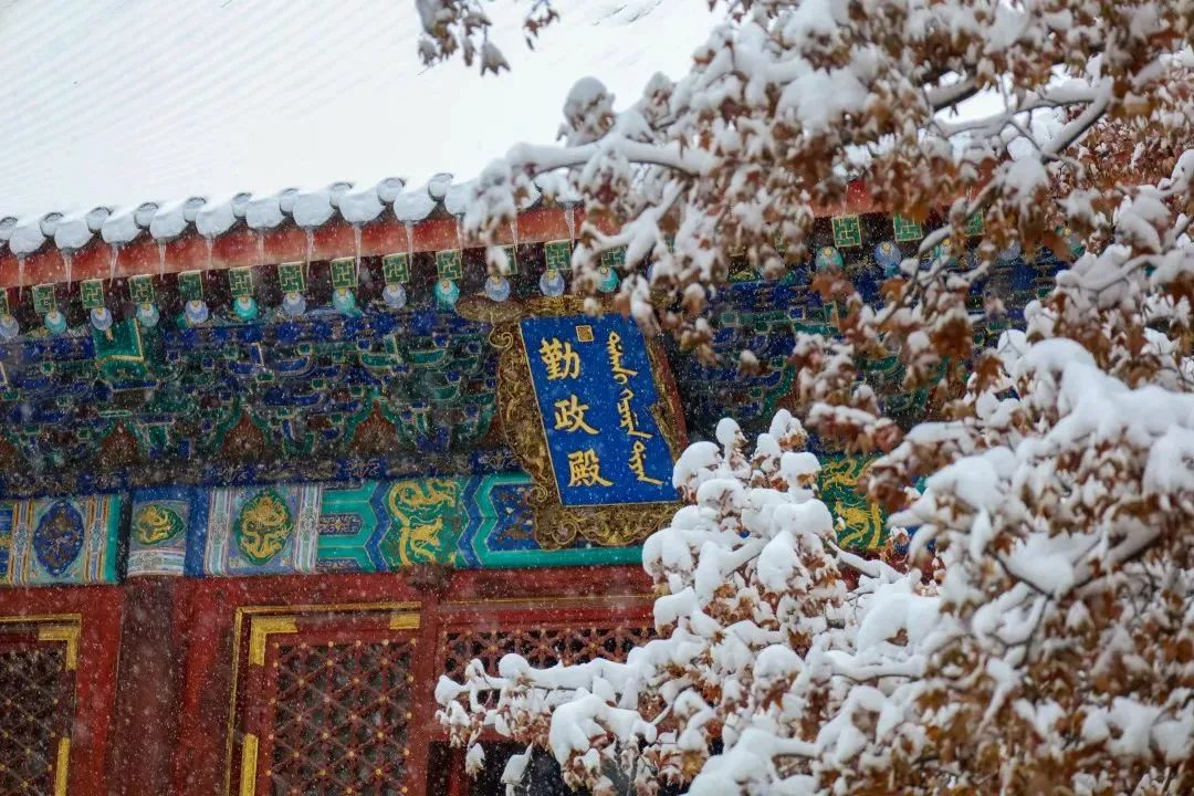 下雪了!最新出炉的北京雪景图,邀您欣赏 下雪了!最新出炉的北京雪景图,邀您欣赏