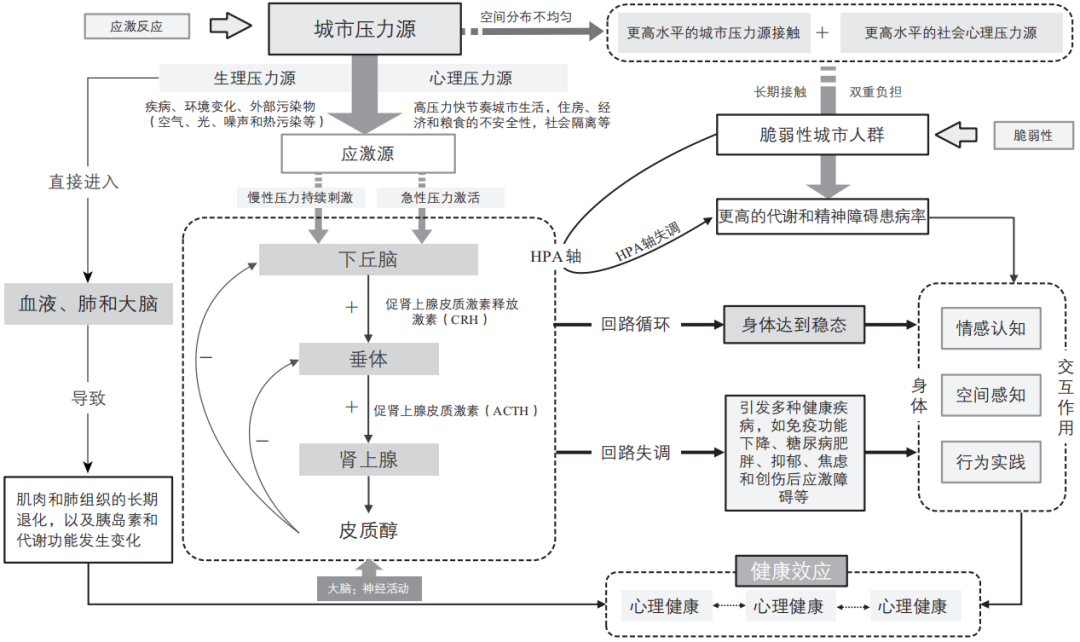 期刊精粹 | 从城市压力到神经都市化——跨学科视野下健康街道研究述评与框架建构【2023.6期优先看】