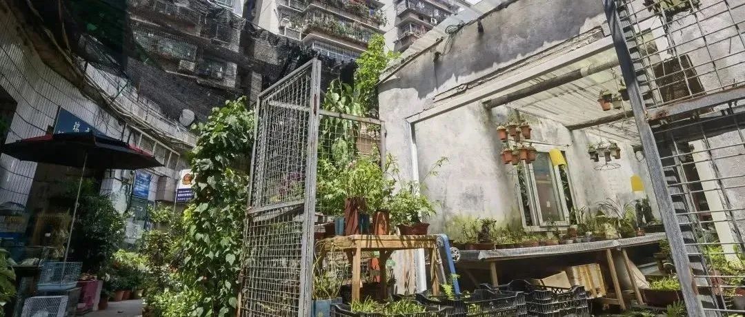 景德镇遗产保护与活化利用 景德镇遗产保护与活化利用