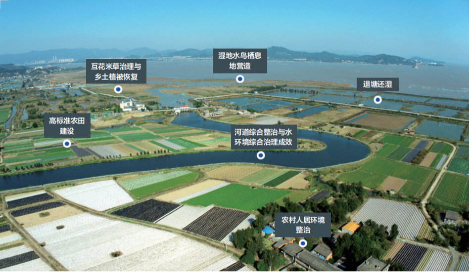 国土空间生态修复典型案例丨福建闽江流域山水林田湖草生态保护修复工程——福州市闽江河口湿地生态保护及入侵物种综合治理项目
