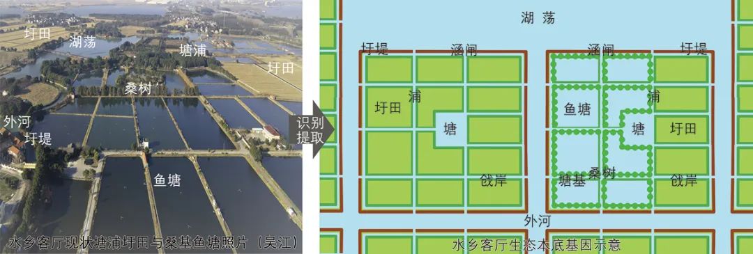 基于空间基因传承的城市设计方法探索*——以长三角一体化示范区水乡客厅为例