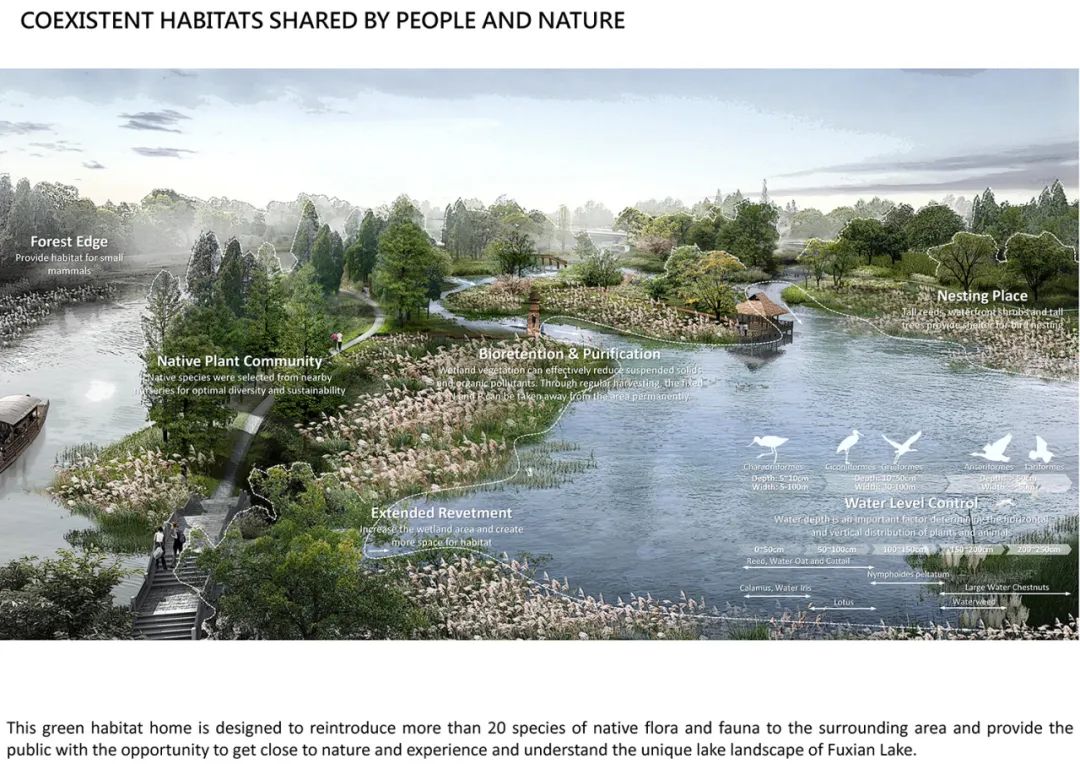 2023年IFLA APR国际大奖|重塑大湖边缘——以抚仙湖北岸生态湿地建设推动人湖共生发展 2023年IFLA APR国际大奖|重塑大湖边缘——以抚仙湖北岸生态湿地建设推动人湖共生发展
