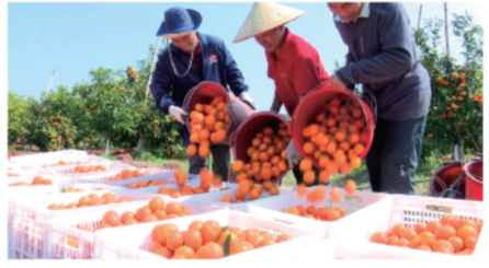 国土空间生态修复典型案例丨广东粤北南岭山区山水林田湖草生态保护修复工程——南雄市红砂岭综合治理项目