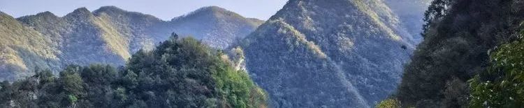 读城 | 何依:童话与歌剧的小城——卢卡(LUCCA) 读城 | 何依:童话与歌剧的小城——卢卡(LUCCA)
