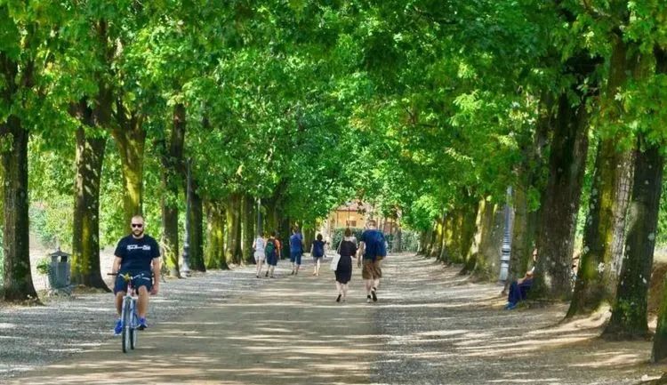 读城 | 何依:童话与歌剧的小城——卢卡(LUCCA) 读城 | 何依:童话与歌剧的小城——卢卡(LUCCA)