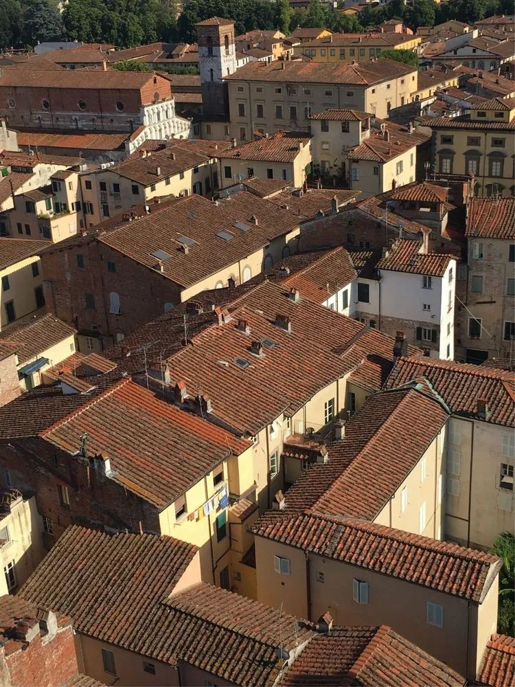 读城 | 何依:童话与歌剧的小城——卢卡(LUCCA) 读城 | 何依:童话与歌剧的小城——卢卡(LUCCA)