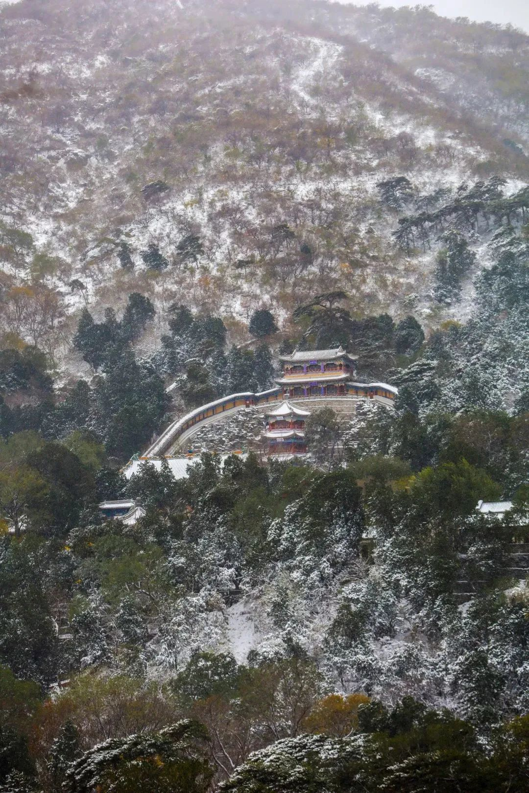 下雪了!最新出炉的北京雪景图,邀您欣赏 下雪了!最新出炉的北京雪景图,邀您欣赏