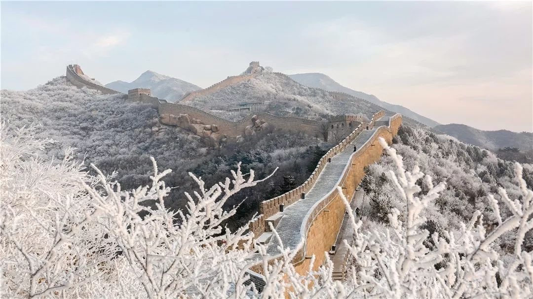 下雪了!最新出炉的北京雪景图,邀您欣赏 下雪了!最新出炉的北京雪景图,邀您欣赏