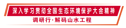 守护“天下第一秀水”——走近浙江千岛湖流域“山水工程” 守护“天下第一秀水”——走近浙江千岛湖流域“山水工程”