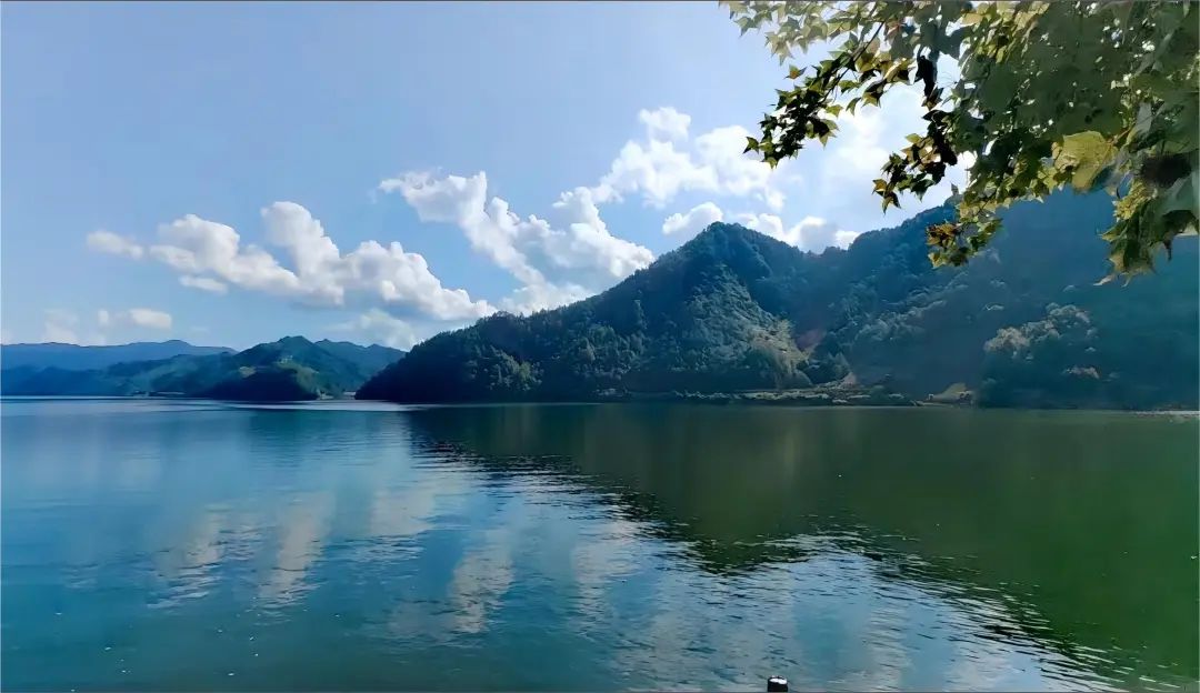 守护“天下第一秀水”——走近浙江千岛湖流域“山水工程”