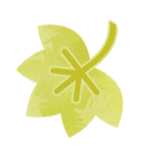 《人民日报》：南京小西湖微改造更新老街区