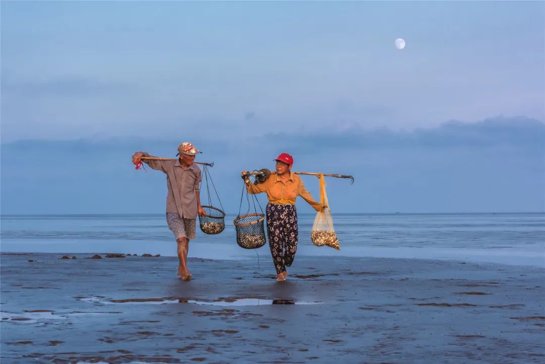 盐城杯“大美中国 最美湿地”摄影大赛获奖作品选登 盐城杯“大美中国 最美湿地”摄影大赛获奖作品选登